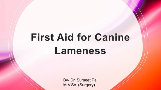Beautiful view of Treatment For Worsening Canine Front Leg Lameness