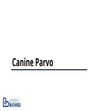 Canine Parvo in Pet Animal_Complete Review