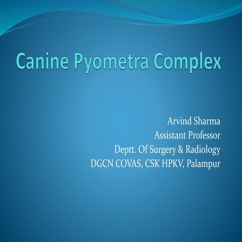 Canine pyometra complex