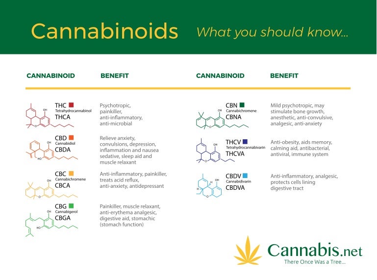 What is a Cannabinoid? THC, CBD, CBG, THCA?