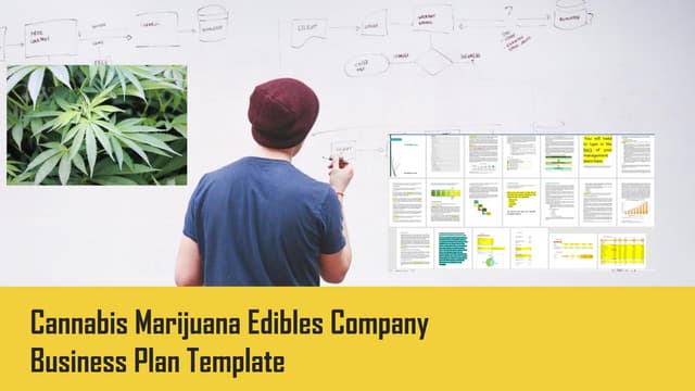 Cannabis marijuana edibles company ...