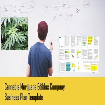 Cannabis marijuana edibles company business plan template