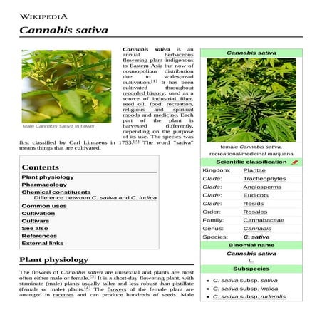 Cannabis sativa