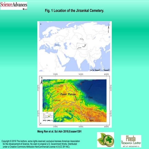Cannabis seed fatty acid and more jose vitelio pineda monge