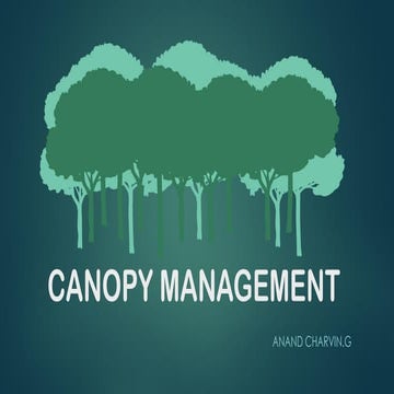 Canopy management | Practices & Information