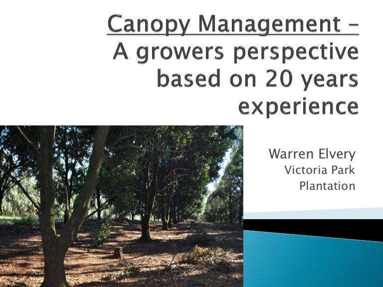 Canopy management mature orchard canopy management a 20 year grow…