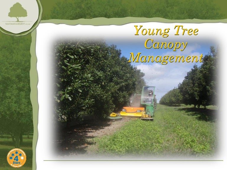 Canopy management young tree canopy management a broad acre persp…