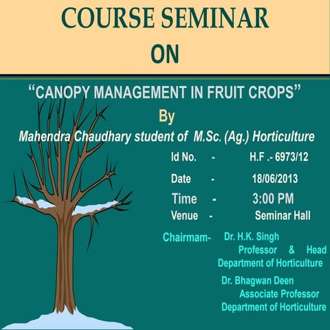 CANOPY MANAGEMENT IN FRUIT CROPS.ppt