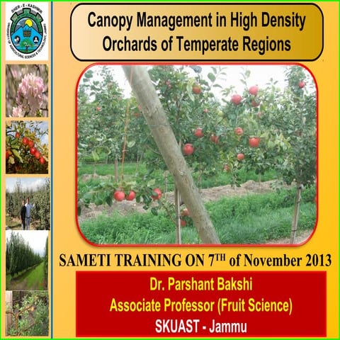 Canopy management in fruits