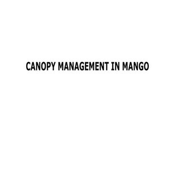 How to ma Canopy Management in Mango.pptx