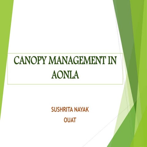 Canopy managemnt in aonla