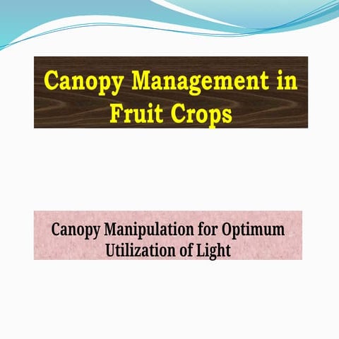 Canopy Manipulation For Optimum Utilization of Light.pptx