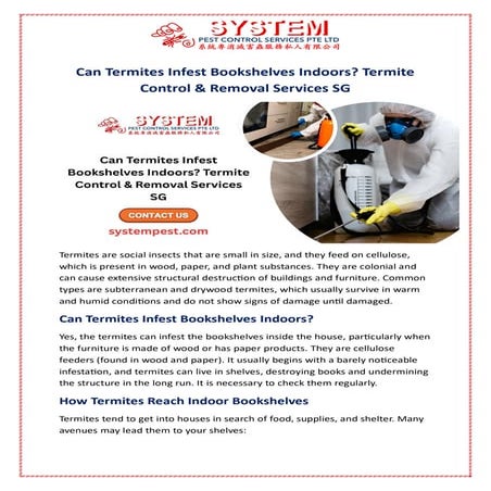 Can Termites Infest Bookshelves Indoors? Termite Control & Removal Services SG