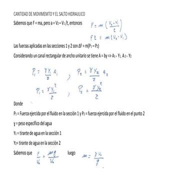 Cantidad de movimiento y salto hidraulico