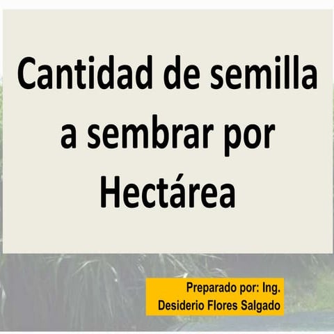 Cantidad de semilla a sembrar por Hectárea.pptx