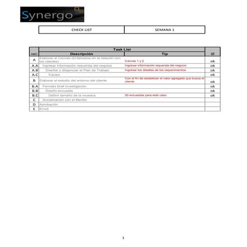 Canvas business-model-synergo-2012