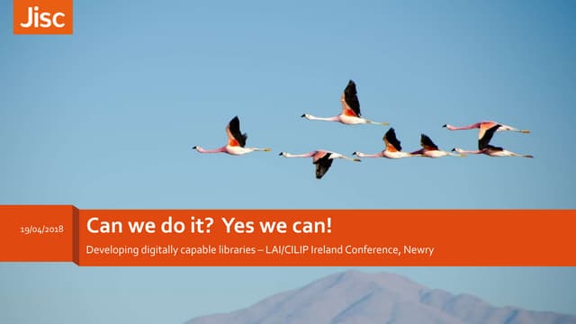Can We Do It? Yes, We Can! Developing Digitally Capable Libraries