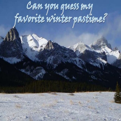 Week 4 Forum Assignment