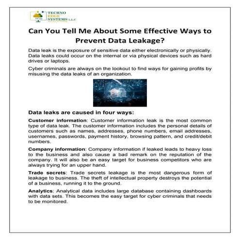 Can You Tell Me About Some Effective Ways to Prevent Data Leakage?