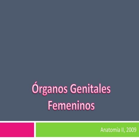 Organos Genitales Femeninos