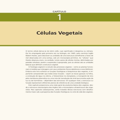 Leitura sobre célula- fundamentada em uma célula vegetal