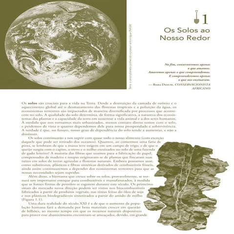 Cap 01elementosdasnaturezaepropriedadesdosolos