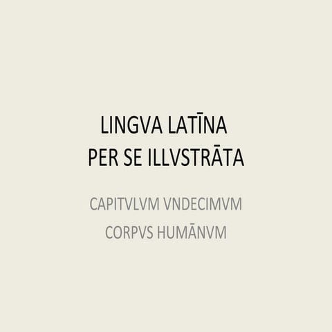 Capitulum XI - LLPSI - Grammatica