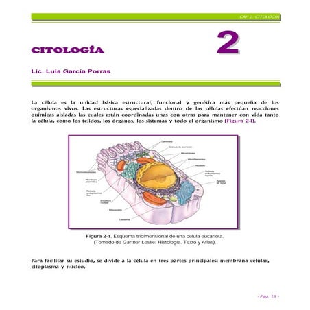 Cap%202 Citolog%C3%8 Da%20 Final