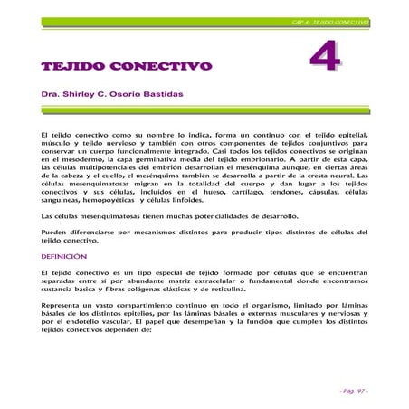 Cap%204 T%C3%89 Jido%20 Conectivo%20 Final