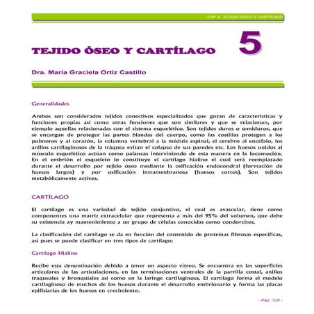 Cap%205 T%C3%89 Jido%20 Oseo%20 Y%20 Cartilago%20 Final