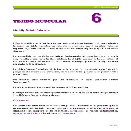 Cap%206 T%C3%89 Jido%20 Muscular%20 Final