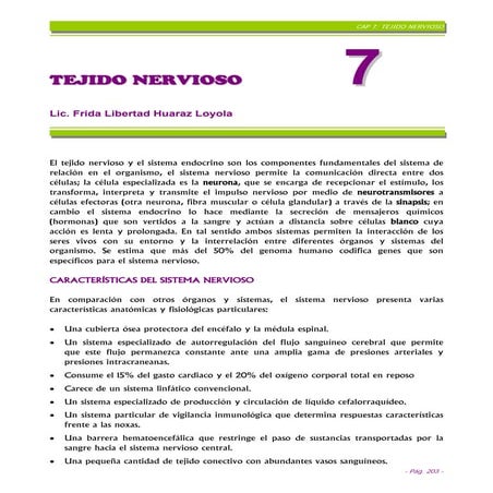 Cap%207 T%C3%89 Jido%20 Nervioso%20 Final