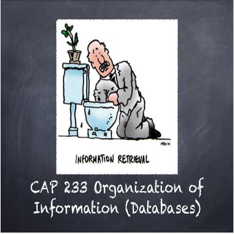 Cap 233 info retrieval