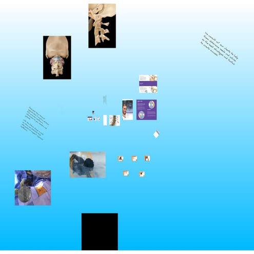 Oribello | PPT