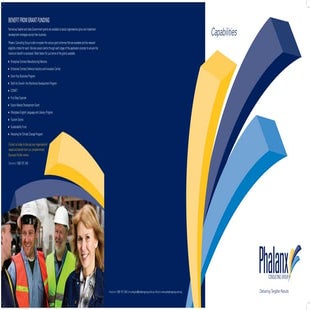 Phalanx Consulting Group\'s Capabilities