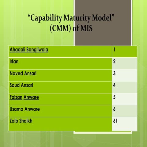 Capability maturity model