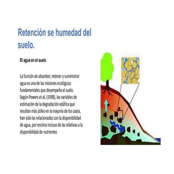 CAPACIDAD DE RETENCION DE AGUA.pptx