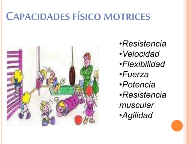 Cuales Son Las Capacidades Fisico Motrices En Educacion Fisica Factory