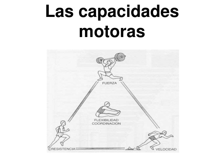 Resultado de imagen para capacidades motoras