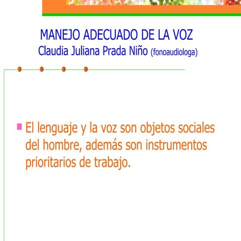 CapacitaciÓn Manejo De La Voz En Una Conferencia | PPT