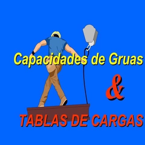 Capacitacion gruas