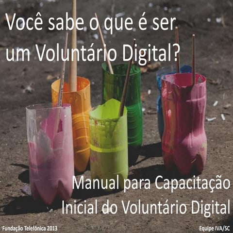Capacitação Voluntariado Digital Fundação Telefônica 2013