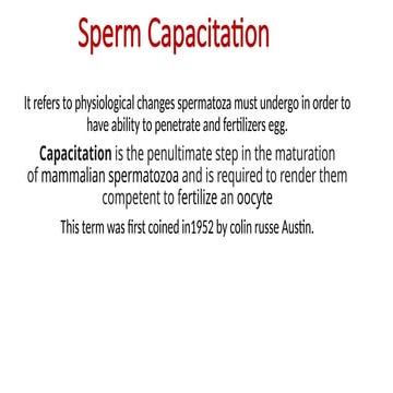 The process of Capacitation in human male .pptx