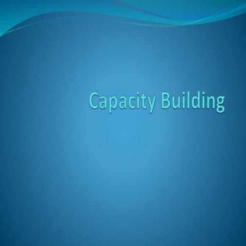 Capacity building