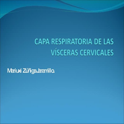 Capa Respiratoria