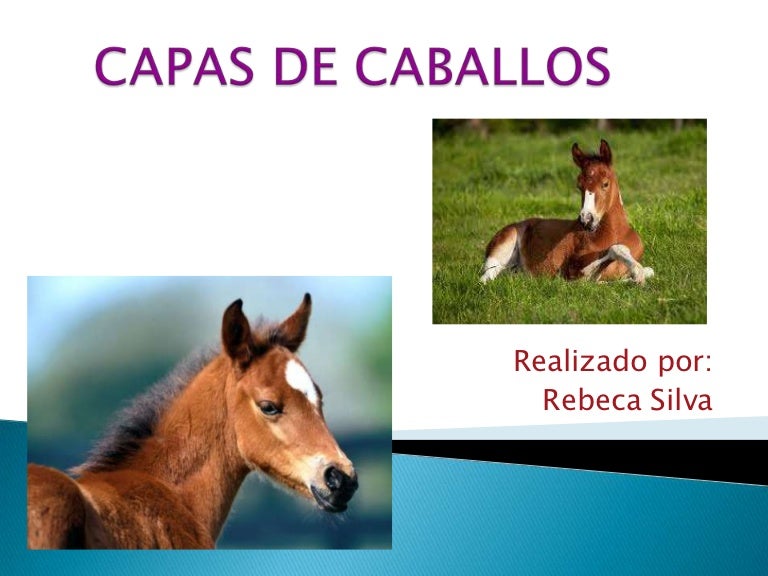 Capas de Caballos