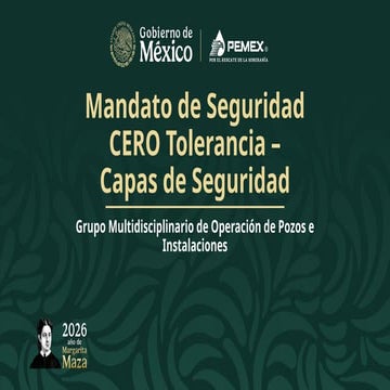 TOPICOS TEMAS EN GENERAL PARA RIJ REUNION DE TRABAJO SEGURO | PDF