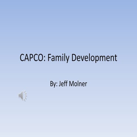 Capco Overview | PPTX