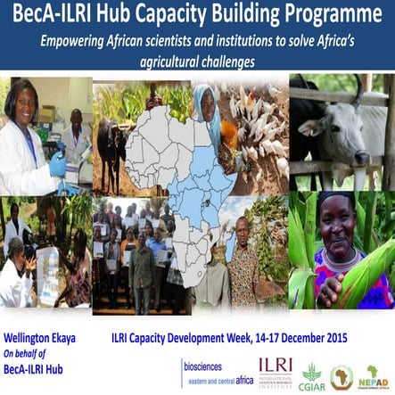 BecA-ILRI Hub capacity building program: Empowering African scientists and in...