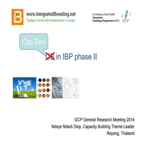 GRM 2014: Ndeye Ndack Diop on Capacity Development